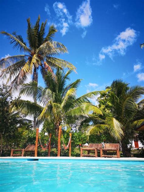 native house resort by cocotel|Native House Resort by Cocotel.